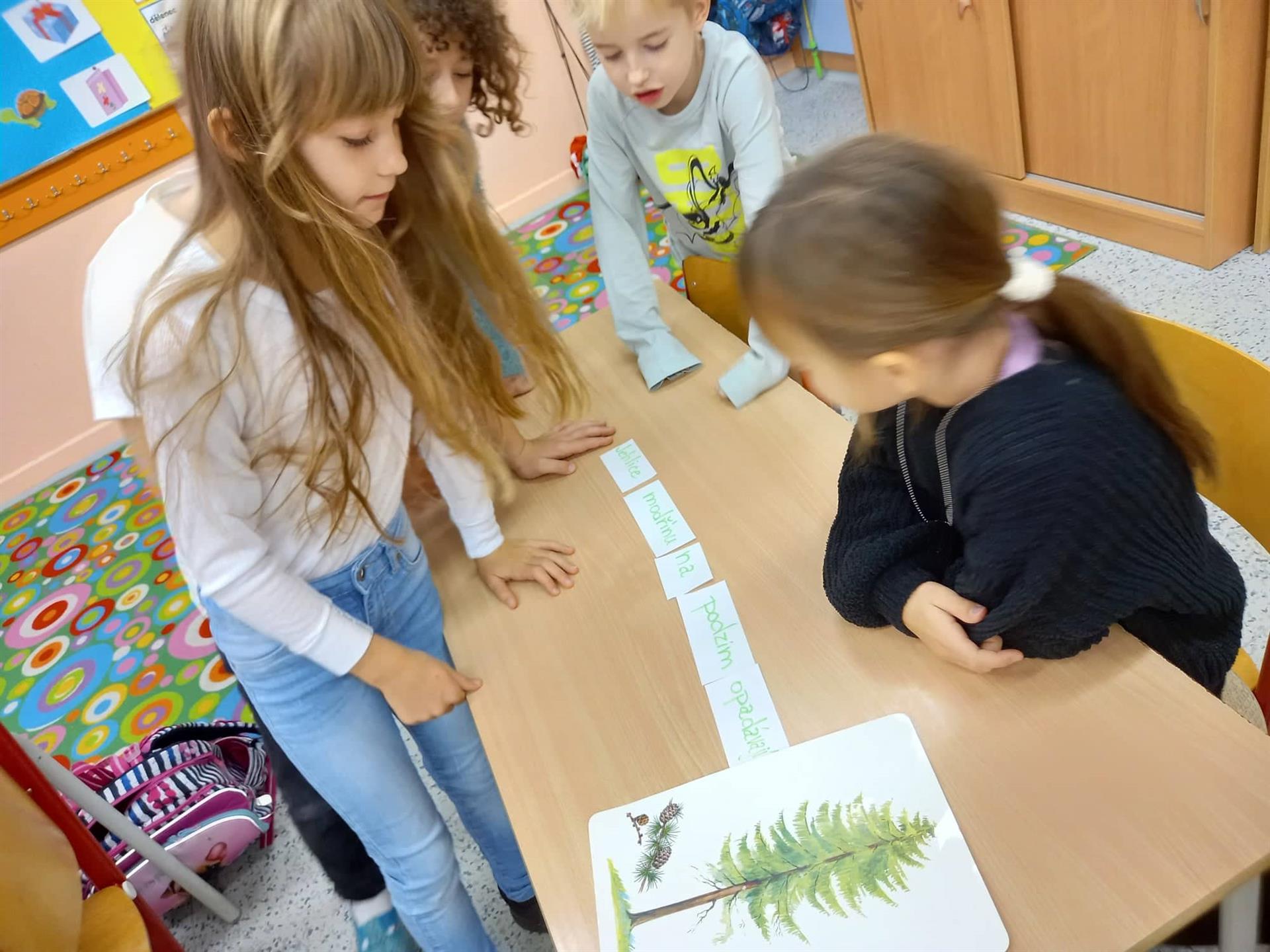 Pořádek slov ve větě
