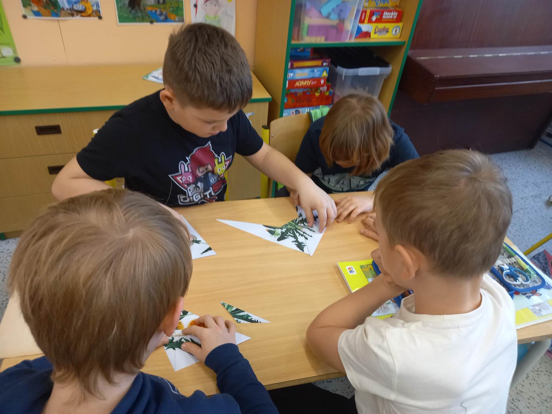 Skládání obrázků jarních rostlin
