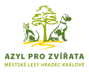 Pečeme pro podporu Azylu pro zvířata v HK👍🐶🐕🐈‍⬛😻😽